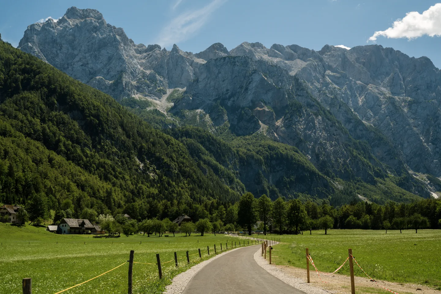 Weg door een groene vallei richting de bergen